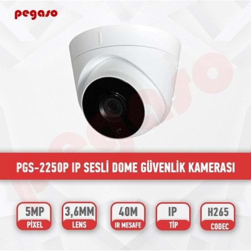 PEGASO PGS-2250P 5 MP 3,6 MM 3MEGA LED SESLİ IP DOME KAMERASI