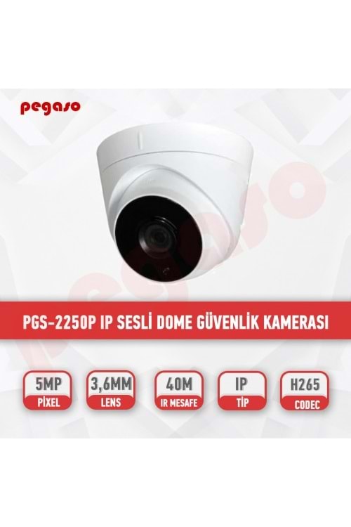 PEGASO PGS-2250P 5 MP 3,6 MM 3MEGA LED SESLİ IP DOME KAMERASI