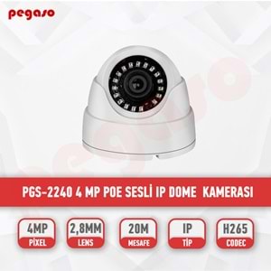 PGS-2240 4 MP IP DOME